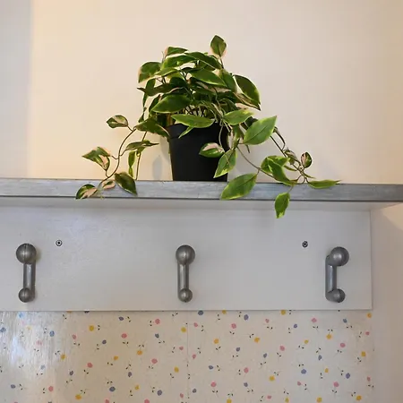 Apartment Se141 Comodo Bilocale Fronte Mare Senigallia